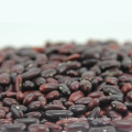 Wholesale beans Long shape dark red kidney beans